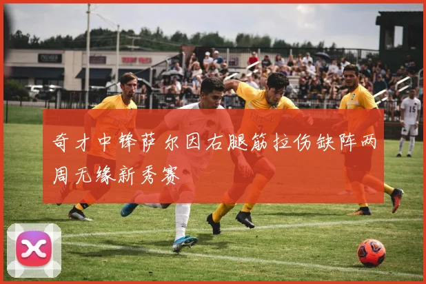 奇才中锋萨尔因右腿筋拉伤缺阵两周无缘新秀赛