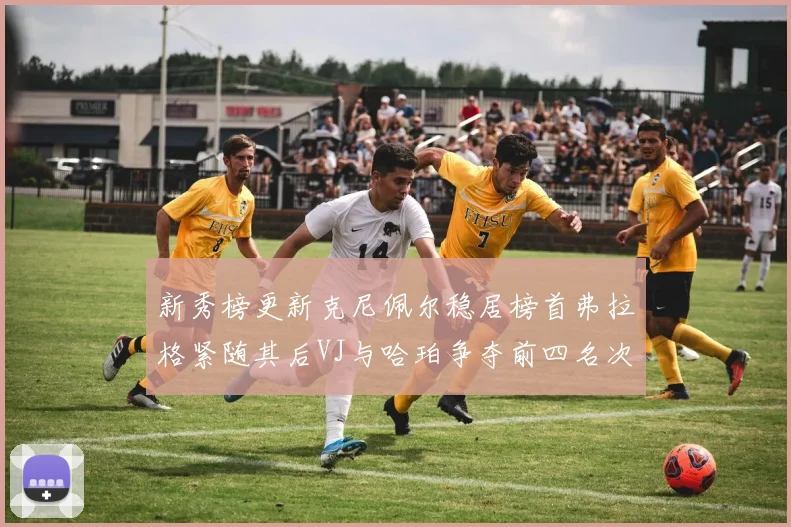 新秀榜更新克尼佩尔稳居榜首弗拉格紧随其后VJ与哈珀争夺前四名次
