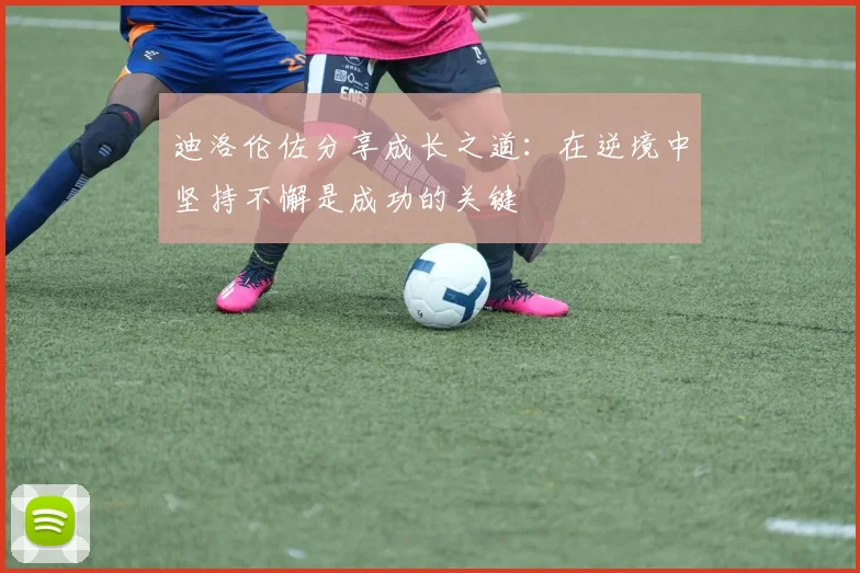 迪洛伦佐分享成长之道：在逆境中坚持不懈是成功的关键