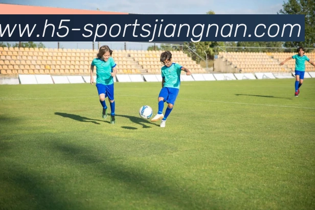 江南体育APP 封面图